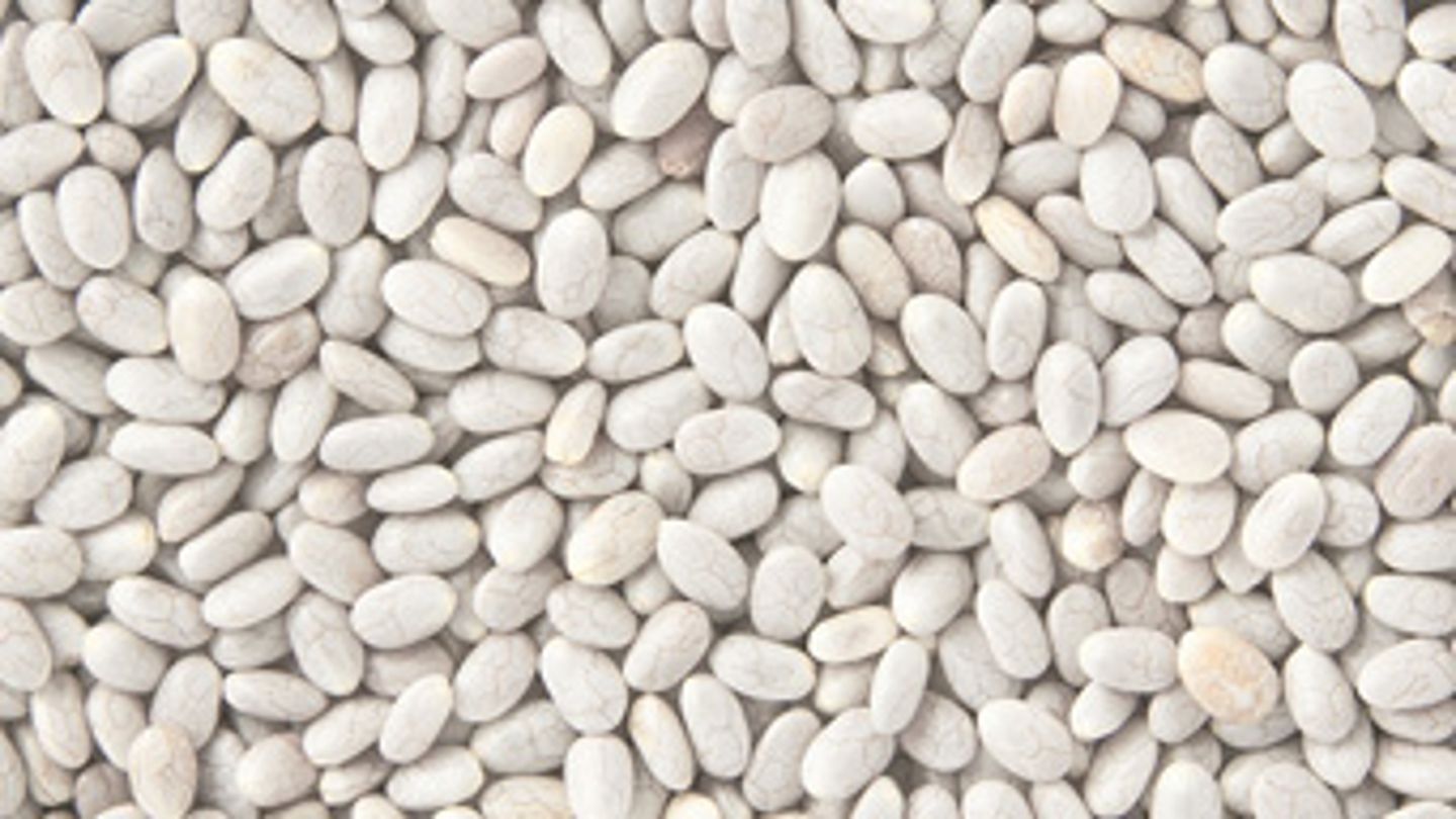 Chía Blanca