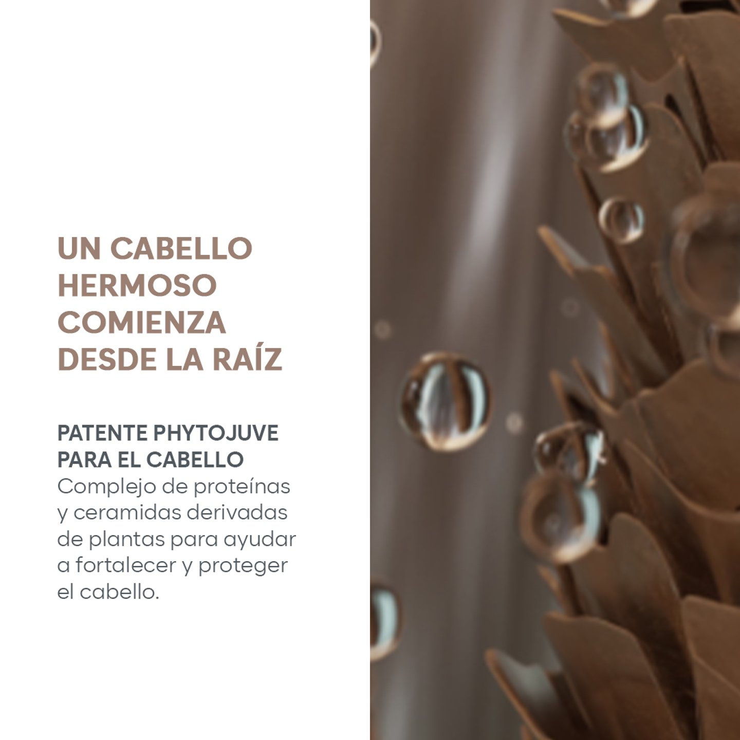 Shampoo Hidratación Satinique Patente
