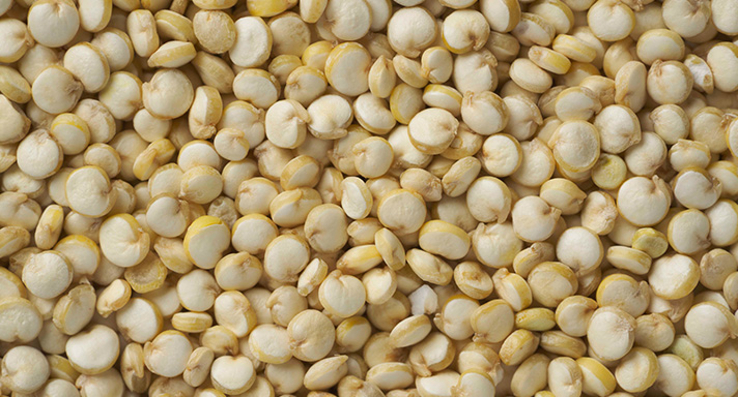 Semilla de quinoa