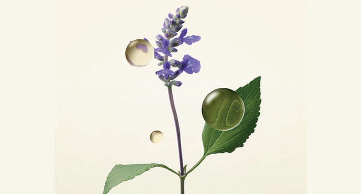 Aceite Chía Blanca