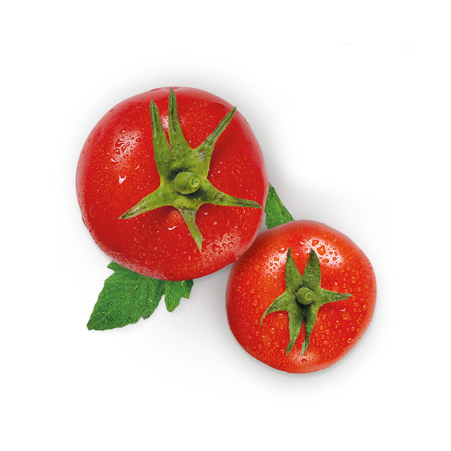Tomate