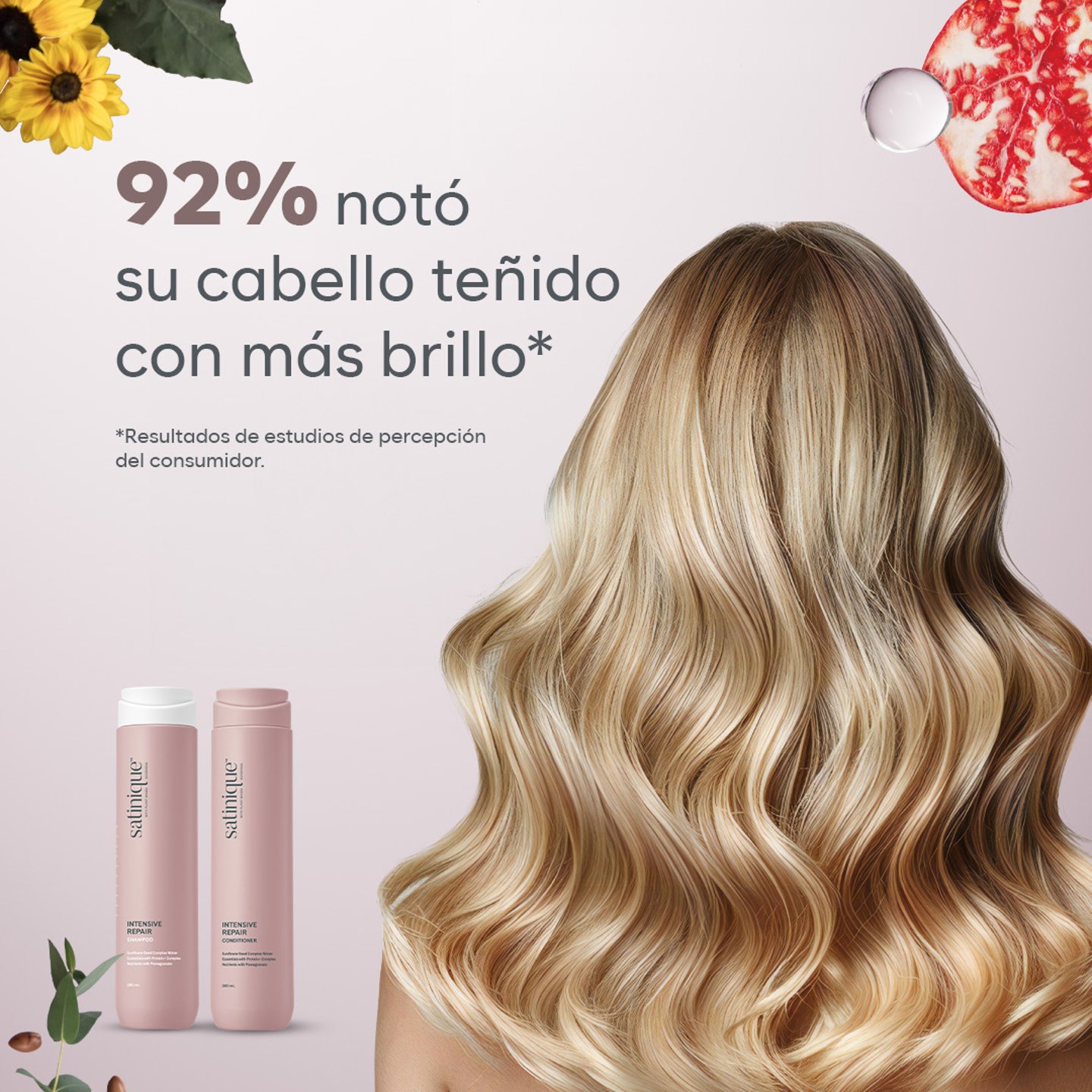 Facts Shampoo Reparador Satinique