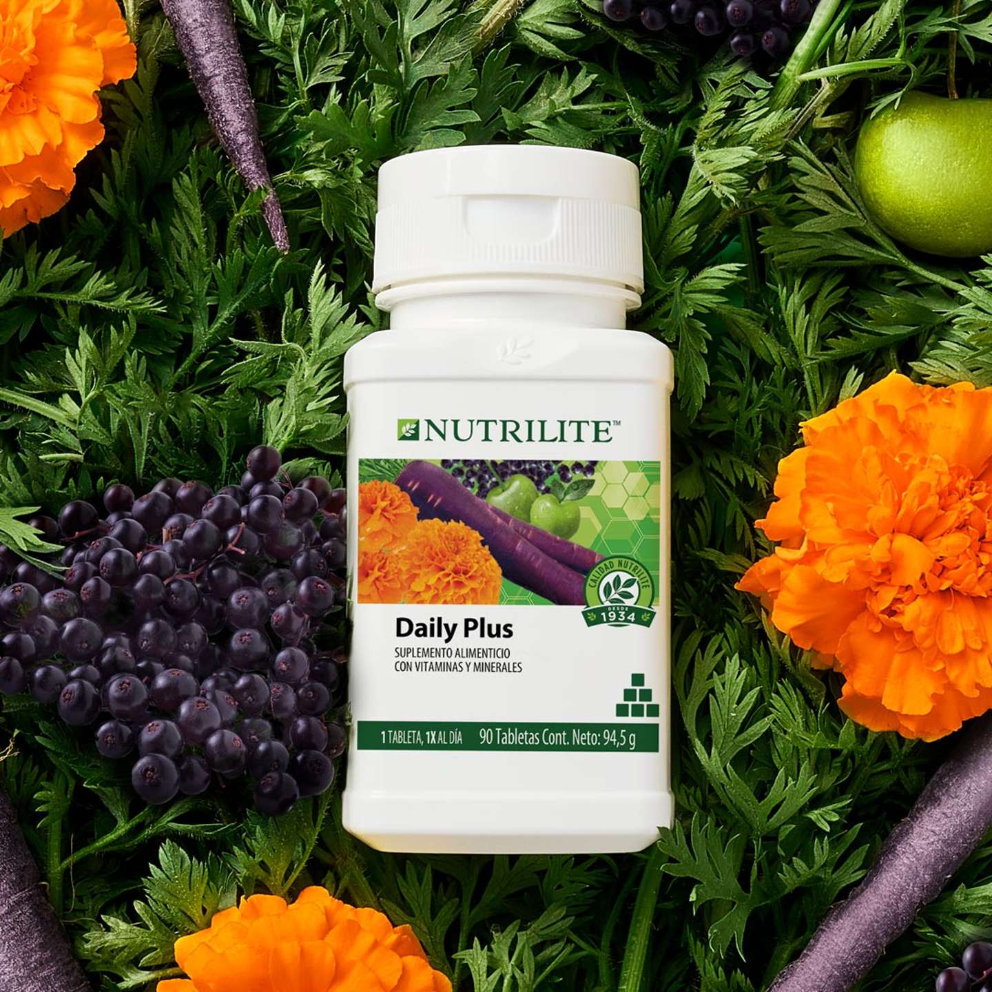 Daily Plus 90 LifeStyle