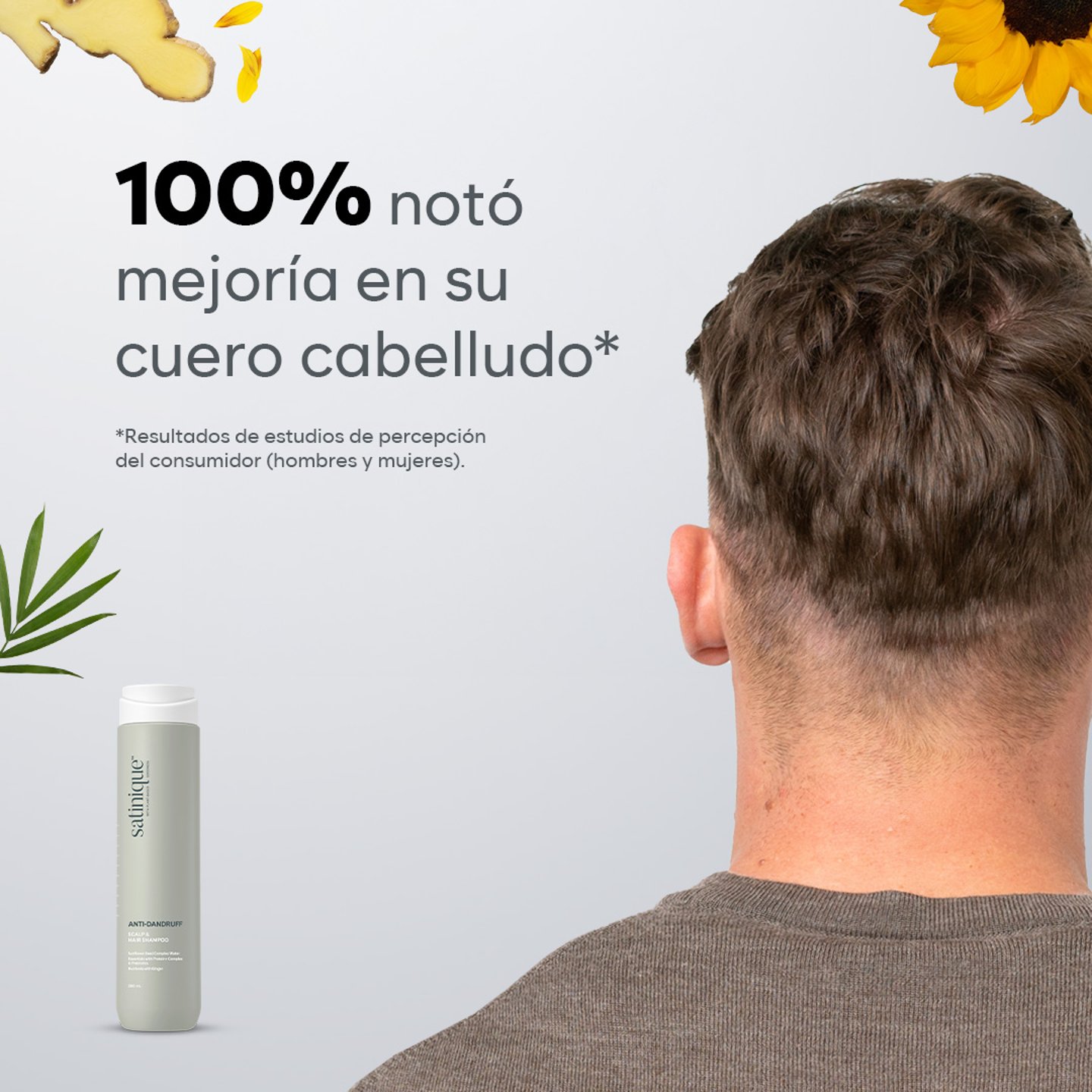 facts Shampoo Anticaspa Satinique