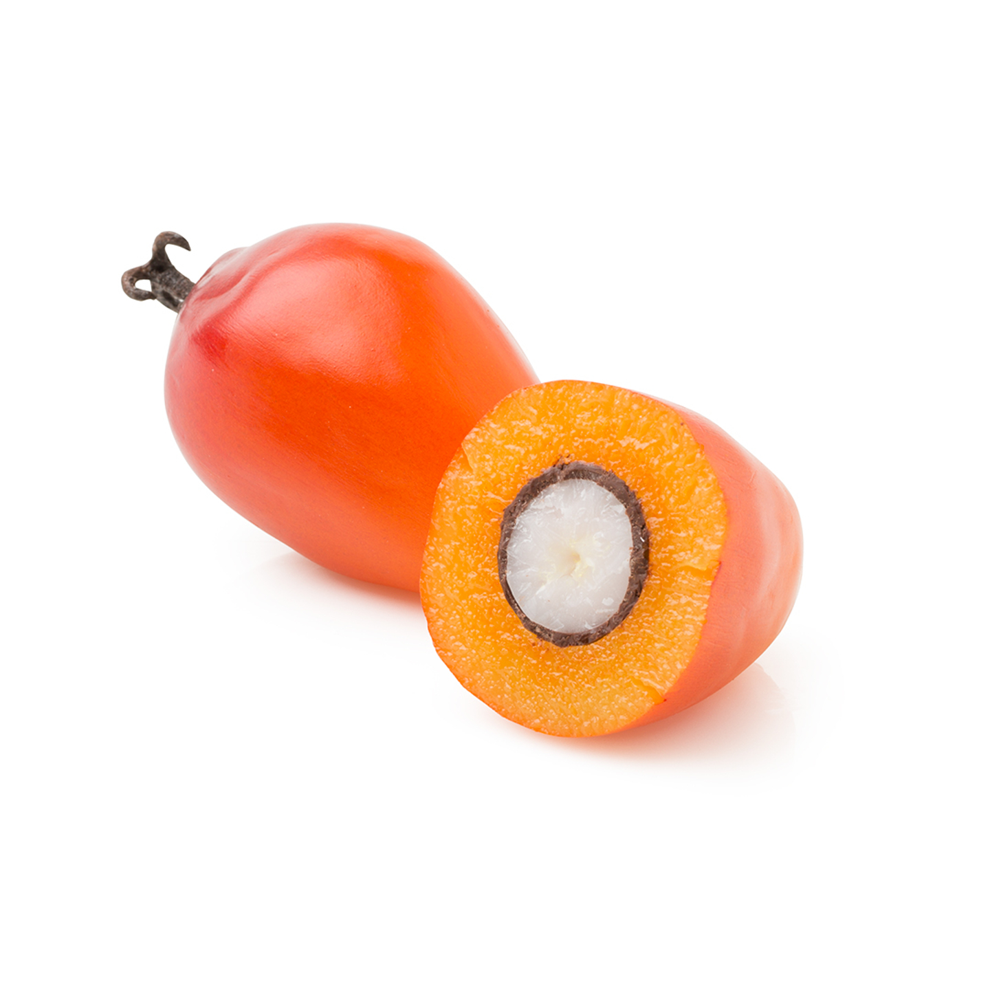 fruto de palma