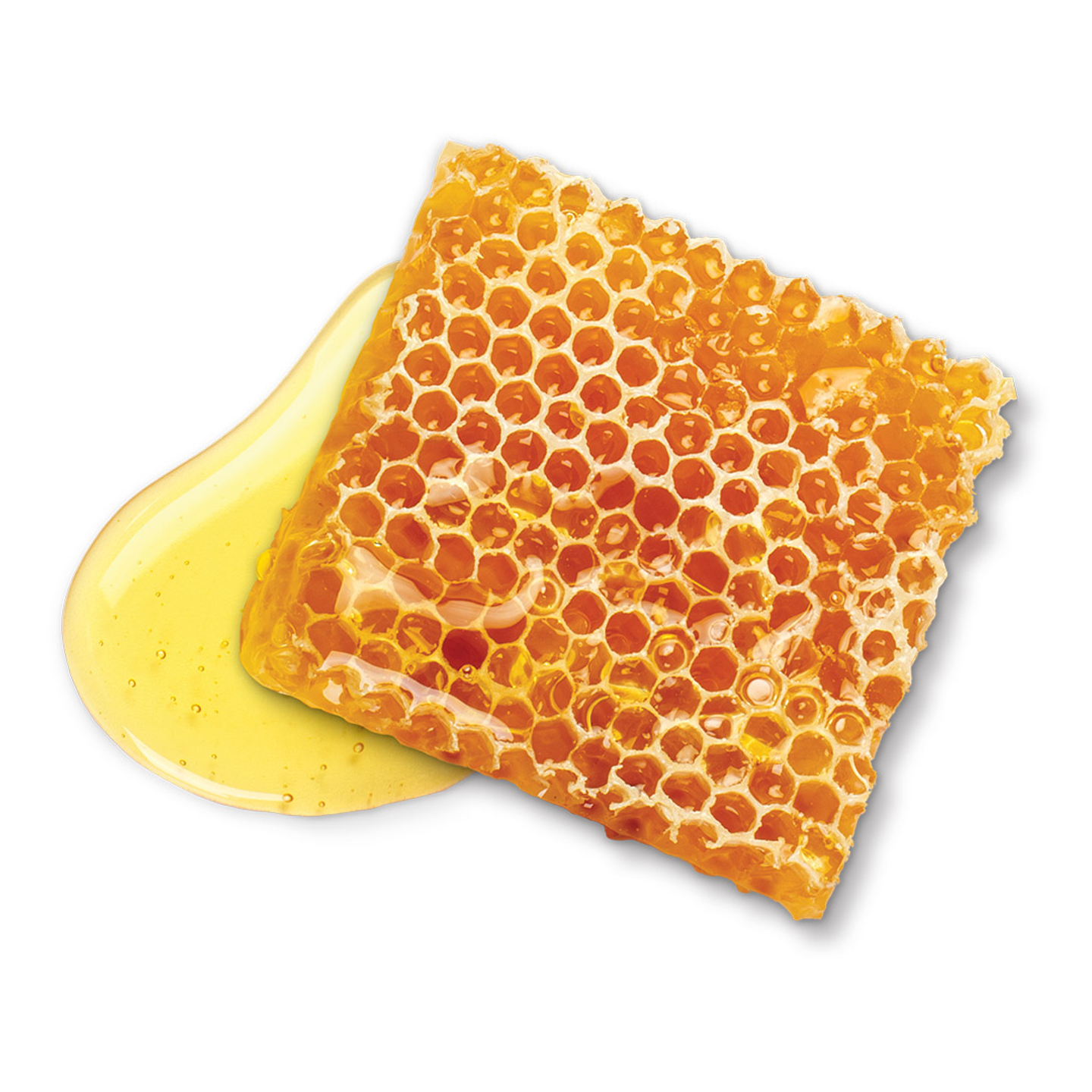 Miel de abejas