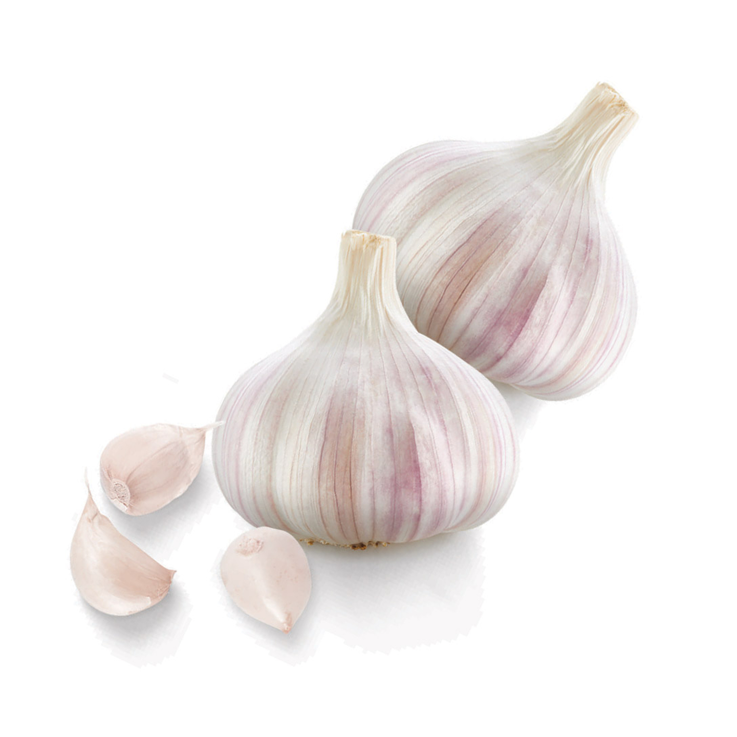 Ajo