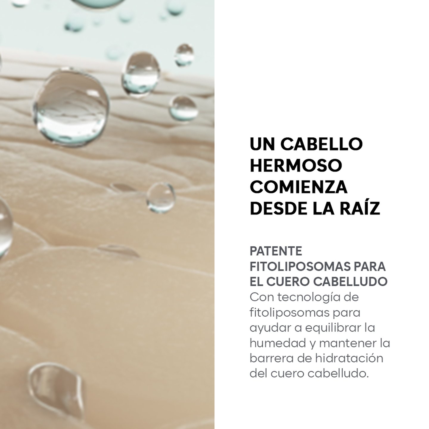 Shampoo Anticaspa Satinique Patente 2