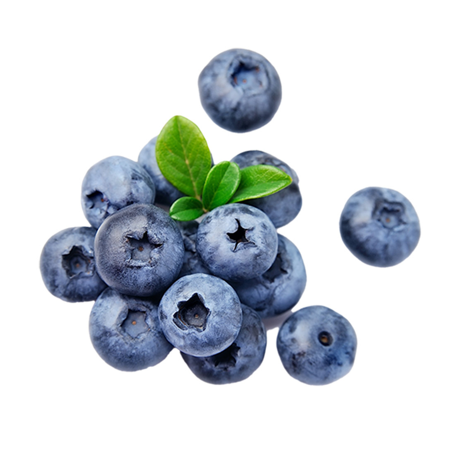 Ingrediente Mora azul