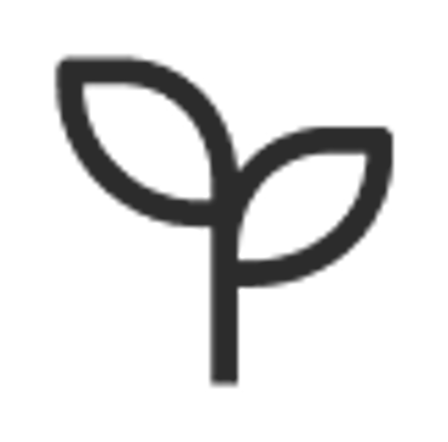 Iocono planta Vegano